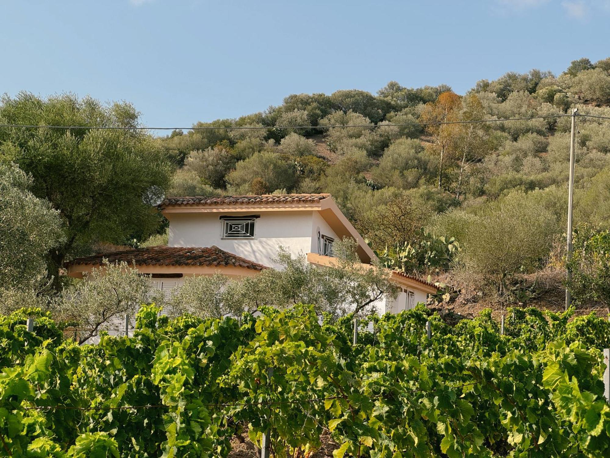 Casa Di Campagna 'Sa Vinzedda' Villa Galtelli Exterior photo